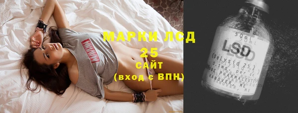 хмурый Алзамай