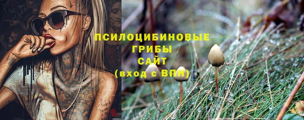 таблы Алексеевка
