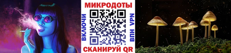 наркошоп  Алушта  Псилоцибиновые грибы MAGIC MUSHROOMS 