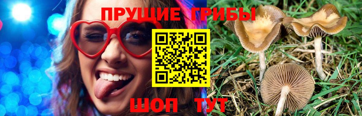 Псилоцибиновые грибы мухоморы  Галлюциногенные грибы GOLDEN TEACHER  Алушта  Вход с VPN 